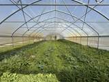 4146 County Rd N Road - Photo 23