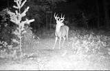 11305 Cth M - Photo 35