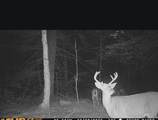 11305 Cth M - Photo 36