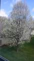 494 Cledell Street - Photo 45