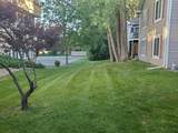 6253 Middleton Spring Drive Common - Photo 15