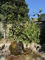 2638 Mason Street - Photo 40