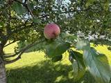 N4194 Country Club Drive - Photo 29