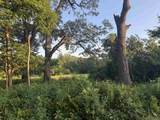 7305 Donna Drive - Photo 44