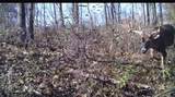 7330 Roberts Road - Photo 47