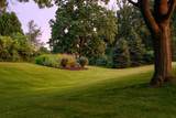 3952 Caribou Road - Photo 6