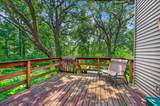 10671 Oak Ridge Road - Photo 56