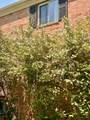 1014 Spaight Street - Photo 34