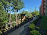 2411 River Road - Photo 3