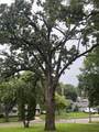 2200 Memorial Drive - Photo 64