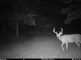 N3530 County Road O - Photo 59