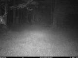 N3530 County Road O - Photo 61