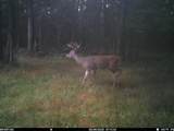 N3530 County Road O - Photo 64