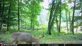 W6191 Lueck Lane - Photo 59