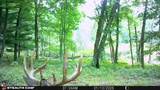 W6191 Lueck Lane - Photo 61