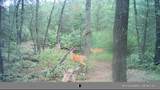 N5839 Woodland Hills Road - Photo 65