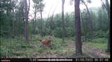N5839 Woodland Hills Road - Photo 66