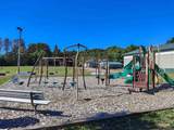10575 Big Arbor Vitae Drive - Photo 56