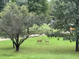 7130 Us Hwy 51 - Photo 38