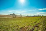 Lot 9 Jeffery Road - Photo 9
