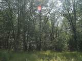 Lot 53 Tomahawk Trail - Photo 2