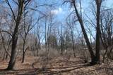 Lot 53 Tomahawk Trail - Photo 3