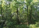 Lot 53, 3rd Avenue - Photo 1