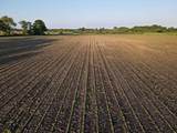 92.93 M/L Acres Twin Lane Road - Photo 11
