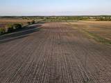 92.93 M/L Acres Twin Lane Road - Photo 13