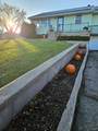 531 Mill Street - Photo 4