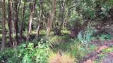 58 Redhawk Trail - Photo 2