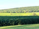  Swiss Lane & County Road K - Photo 6