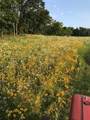 165+/- Acres Miess Road - Photo 11