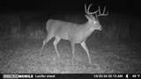 165+/- Acres Miess Road - Photo 22