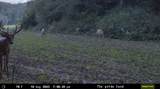 165+/- Acres Miess Road - Photo 30