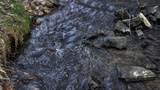 165+/- Acres Miess Road - Photo 43