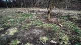 165+/- Acres Miess Road - Photo 52