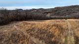 165+/- Acres Miess Road - Photo 9