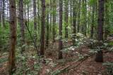 28 ac Clearview Road - Photo 11