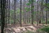 28 ac Clearview Road - Photo 8