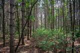 28 ac Clearview Road - Photo 9