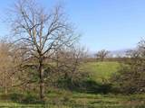 54 Ac County Road ID - Photo 56