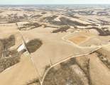 109.19Â± Acres Gould Hill Road - Photo 13