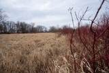 +/-230 Ac Old Stone Road - Photo 49