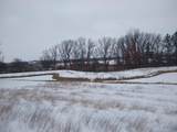 831 Colt Drive - Photo 16
