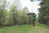 W5698 Losinski Road - Photo 46