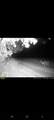 W5698 Losinski Road - Photo 49
