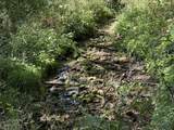 Lot 10 Murphy Road - Photo 1