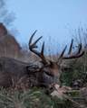 37.5+/- Acres Yttri Road - Photo 10