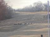 8580 Roelke Road - Photo 53